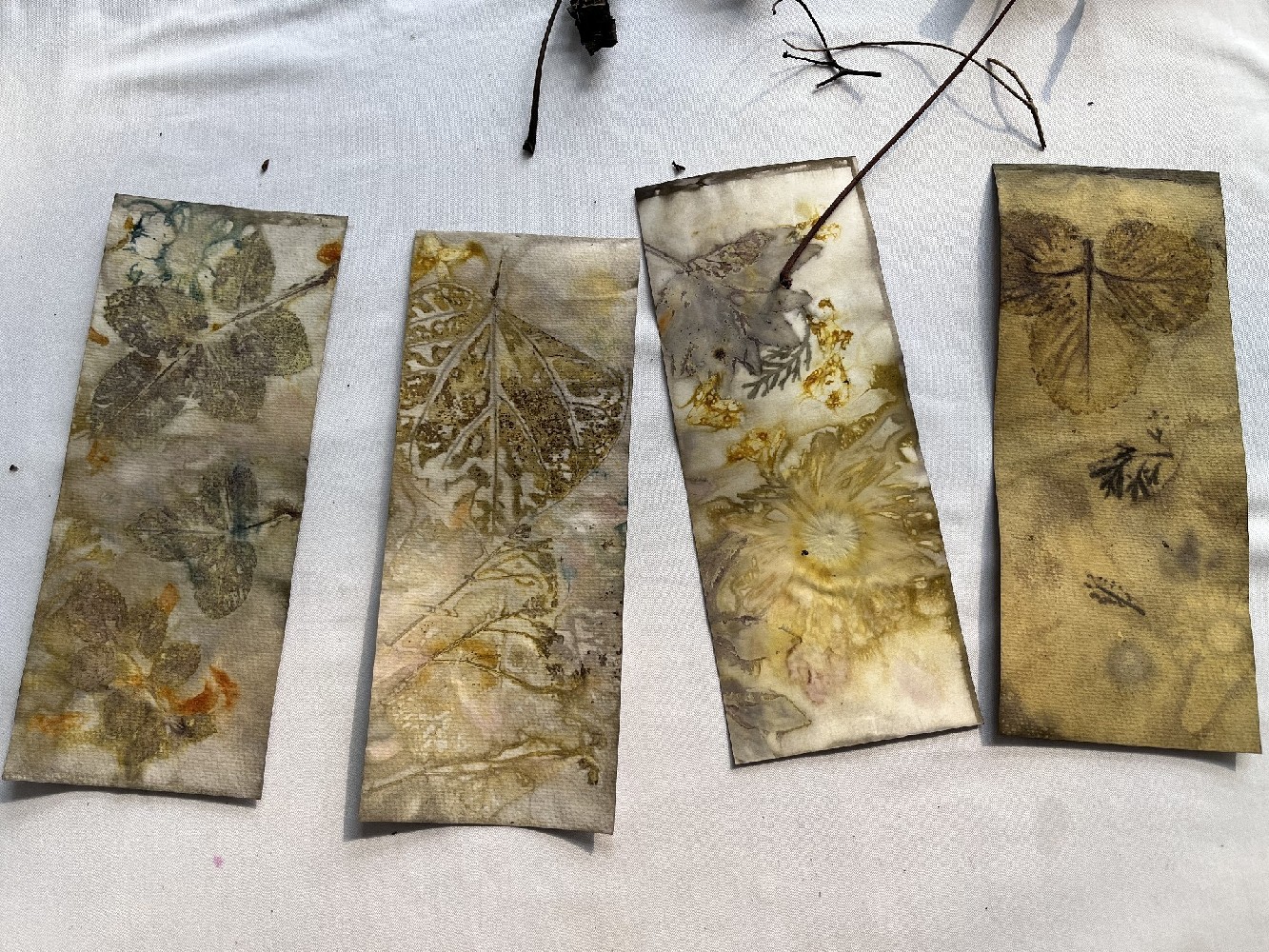 植物生态染：探索自然色彩与生态和谐的新篇章
