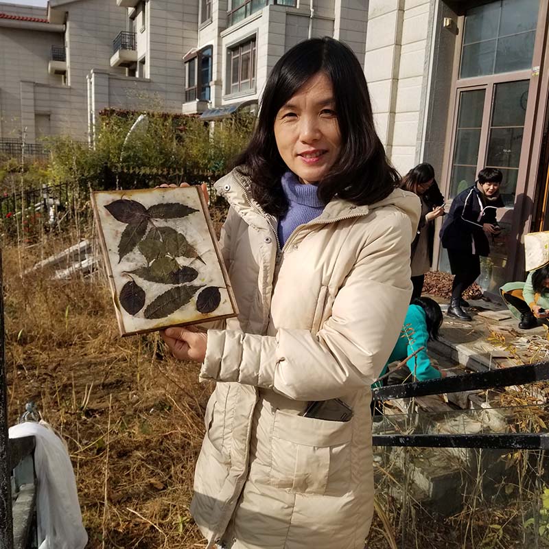 生态植物染