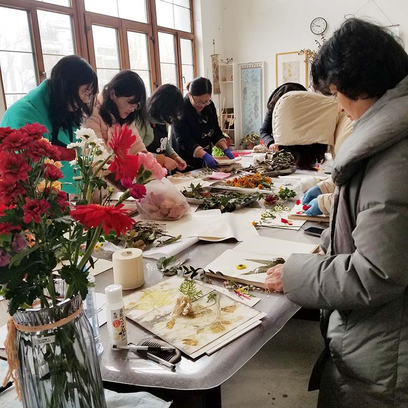 生态植物染
